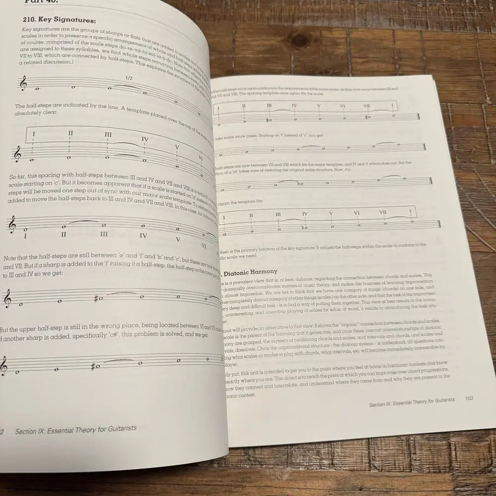 Guitar Compendium Vol 3: Technique / Theory (Advance Music: The Praxis System
